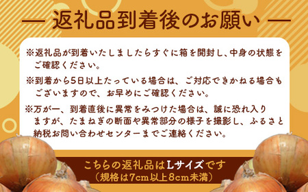 2023年秋発送】三笠aroundたまねぎＬサイズ10kg【33004】 | 北海道三笠