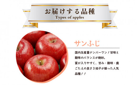 先行予約《2025年11月中旬～発送》藤原農園のりんご『サンふじ』5kg 14玉～20玉 果物類 美味しい 生産 大人気 果汁 果肉 やや硬い シャキシャキ 食感 絶品 高糖度 蜜 