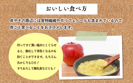 先行予約《2025年11月中旬～発送》藤原農園のりんご『サンふじ』5kg 14玉～20玉 果物類 美味しい 生産 大人気 果汁 果肉 やや硬い シャキシャキ 食感 絶品 高糖度 蜜 