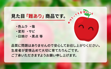 訳あり りんご サンふじ 約 10kg （24～40玉 玉数指定不可） 盛岡から「農で人をつなぐ」藤与果樹園 訳アリ 不揃い 傷 規格外 フルーツ 果物 旬のフルーツ 旬の果物 旬 冬 岩手 盛岡 産地直送 12月から発送