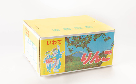 訳あり りんご サンふじ 約 10kg （24～40玉 玉数指定不可） 盛岡から「農で人をつなぐ」藤与果樹園 訳アリ 不揃い 傷 規格外 フルーツ 果物 旬のフルーツ 旬の果物 旬 冬 岩手 盛岡 産地直送 12月から発送