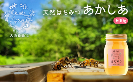 盛岡市 大西養蜂場 天然はちみつ あかしあ 600g 非加熱はちみつ 非加熱 ハチミツ 蜂蜜 国産 国産はちみつ 国産はちみつ非加熱 アカシア蜂蜜 非加熱蜂蜜 国産蜂蜜 はちみつ 岩手 岩手県 盛岡市