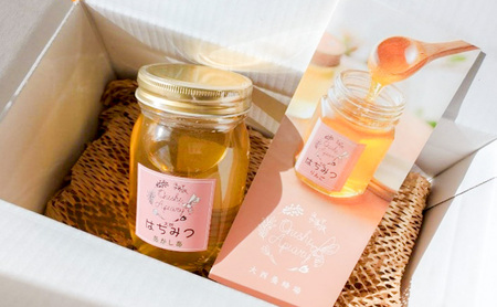 盛岡市 大西養蜂場 天然はちみつ あかしあ 600g 非加熱はちみつ 非加熱 ハチミツ 蜂蜜 国産 国産はちみつ 国産はちみつ非加熱 アカシア蜂蜜 非加熱蜂蜜 国産蜂蜜 はちみつ 岩手 岩手県 盛岡市