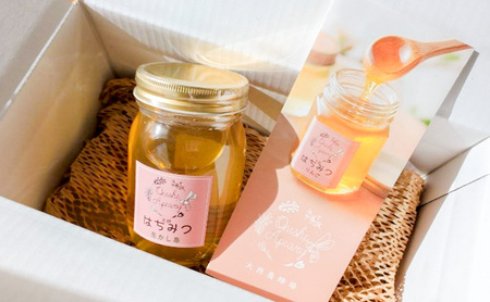 盛岡市 大西養蜂場 はちみつ りんご 600g 非加熱 天然蜂蜜 天然 蜂蜜 ハチミツ 国産 リンゴ 林檎 りんごはちみつ 国産はちみつ 非加熱はちみつ 非加熱 瓶 瓶詰め 岩手 岩手県 盛岡市