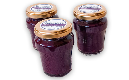 ジャム ブルーベリージャム 90g×3本 佐々木果樹園 乙部角屋謹製 ブルーベリー 瓶 フルーツ 果物 朝食 ヨーグルト パン 自然栽培 岩手 岩手県 盛岡 盛岡市
