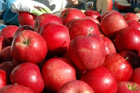 果実酒 林檎 ワイン 人気 2本 詰め合わせ ふじ カシスロゼ 飲み比べセット 飲み比べ セット アップルワイン シードル シードルワイン ロゼ ロゼワイン アルコール 地酒 お酒 酒 りんご 辛口 甘口 岩手りんご 東北 岩手 岩手県 盛岡市