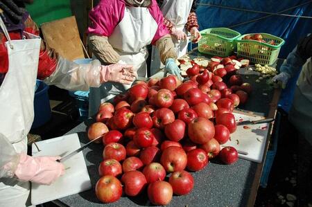 果実酒 林檎 ワイン 人気 2本 詰め合わせ ふじ カシスロゼ 飲み比べセット 飲み比べ セット アップルワイン シードル シードルワイン ロゼ ロゼワイン アルコール 地酒 お酒 酒 りんご 辛口 甘口 岩手りんご 東北 岩手 岩手県 盛岡市
