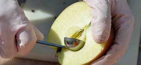 果実酒 林檎 ワイン 人気 2本 詰め合わせ ふじ カシスロゼ 飲み比べセット 飲み比べ セット アップルワイン シードル シードルワイン ロゼ ロゼワイン アルコール 地酒 お酒 酒 りんご 辛口 甘口 岩手りんご 東北 岩手 岩手県 盛岡市