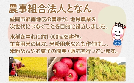 盛岡 めんこいめん 5種 食べ比べ 計6食 Aセット 純米麺 冷麺 じゃじゃ麺 牛だしフォー 盛岡ラーメン 米粉麺 グルテンフリー 麺 米粉 グルメ お取り寄せ ギフト ラーメン 