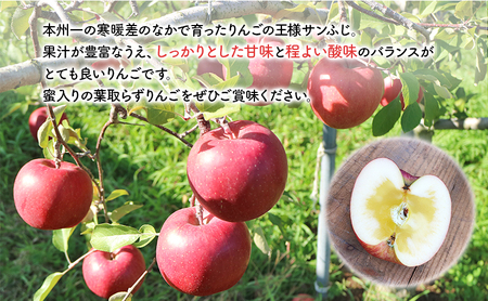 りんご 岩手県 完熟 サンふじ 約 3kg (8～12玉) 北田りんご園 ふじ ふじりんご 完熟りんご 葉とらず 葉とらずりんご 果物 フルーツ 冬 旬 季節のフルーツ 季節の果物 岩手 盛岡 盛岡市 先行予約 2026 1月発送