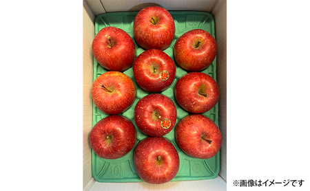 りんご 岩手県 完熟 サンふじ 約 3kg (8～12玉) 北田りんご園 ふじ ふじりんご 完熟りんご 葉とらず 葉とらずりんご 果物 フルーツ 冬 旬 季節のフルーツ 季節の果物 岩手 盛岡 盛岡市 先行予約 2026 1月発送