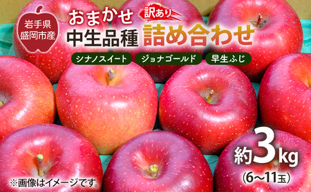 【10月から発送】 りんご 盛岡から「農で人をつなぐ」藤与果樹園：《 訳あり 》おまかせ中生品種詰め合わせ（ シナノスイート ジョナゴールド 早生ふじ ）約3kg 6～11玉 玉数指定不可 詰め合わせ 岩手 盛岡