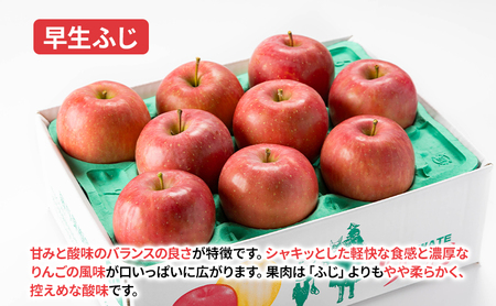 【10月から発送】 りんご 盛岡から「農で人をつなぐ」藤与果樹園：《 訳あり 》おまかせ中生品種詰め合わせ（ シナノスイート ジョナゴールド 早生ふじ ）約3kg 6～11玉 玉数指定不可 詰め合わせ 岩手 盛岡
