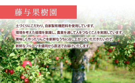 【11月から発送】 りんご 盛岡から「農で人をつなぐ」藤与果樹園： シナノゴールド 約3kg 6～11玉 玉数指定不可 詰め合わせ 岩手 盛岡