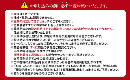 【11月から発送】 りんご 盛岡から「農で人をつなぐ」藤与果樹園： シナノゴールド 約3kg 6～11玉 玉数指定不可 詰め合わせ 岩手 盛岡