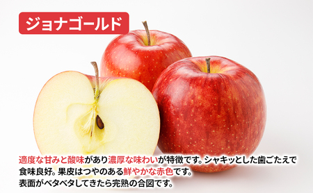 【10月から発送】 りんご 盛岡から「農で人をつなぐ」藤与果樹園：《 訳あり 》 ジョナゴールド 約3kg 6～11玉 玉数指定不可 詰め合わせ 岩手 盛岡