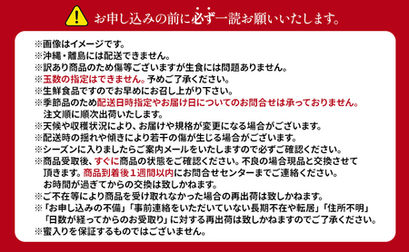 【10月から発送】 りんご 盛岡から「農で人をつなぐ」藤与果樹園：《 訳あり 》 ジョナゴールド 約3kg 6～11玉 玉数指定不可 詰め合わせ 岩手 盛岡