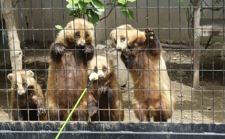 ZOOMO“仲良くなろう”イベント参加券つめ合わせ 盛岡市 盛岡 体験 動物 鳥 病院 公園 動物園 獣医 イベントふれあい