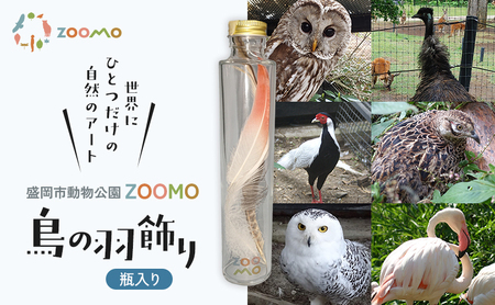 ZOOMO 鳥の羽飾り 盛岡市動物公園 ZOOMO オリジナル インテリア オリジナルグッズ グッズ 置物 おしゃれ かわいい 飾り 瓶飾り 雑貨 小物雑貨 動物園 動物愛護 支援 岩手 岩手県 盛岡市