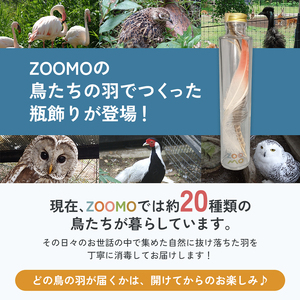ZOOMO 鳥の羽飾り 盛岡市動物公園 ZOOMO オリジナル インテリア オリジナルグッズ グッズ 置物 おしゃれ かわいい 飾り 瓶飾り 雑貨 小物雑貨 動物園 動物愛護 支援 岩手 岩手県 盛岡市