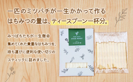 盛岡市 大西養蜂場 盛岡産はちみつ【スティックハニー あかしあ 2.5g×11本】5個 セット 国産 非加熱  ハチミツ 蜂蜜 国産はちみつ 非加熱はちみつ 個包装 岩手 岩手県  