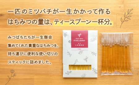 盛岡市 大西養蜂場 盛岡産はちみつ【スティックハニー りんご 2.5g×11本】5個 セット 国産 非加熱  ハチミツ 蜂蜜 国産はちみつ 非加熱はちみつ 非加熱 岩手 岩手県 