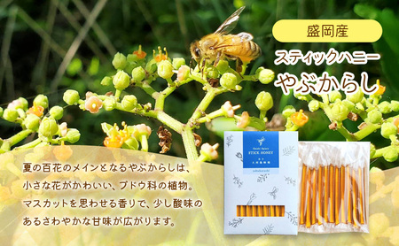 盛岡市 大西養蜂場 盛岡産はちみつ【スティックハニー やぶからし2 .5g×11本】5個 セット 国産 非加熱 ハチミツ 蜂蜜 国産はちみつ 非加熱はちみつ 非加熱 岩手 岩手県