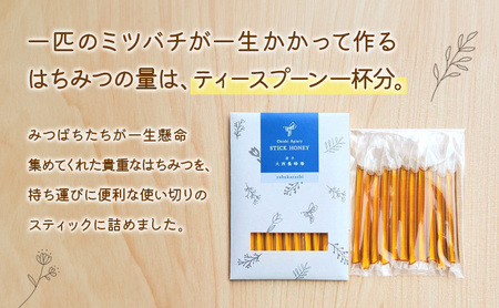 盛岡市 大西養蜂場 盛岡産はちみつ【スティックハニー やぶからし2 .5g×11本】5個 セット 国産 非加熱 ハチミツ 蜂蜜 国産はちみつ 非加熱はちみつ 非加熱 岩手 岩手県