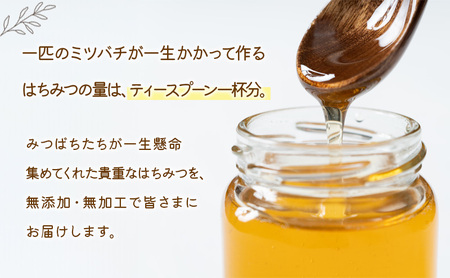 盛岡市 大西養蜂場 盛岡産はちみつ【使いやすい 300g ボトル 夏の百花（やぶからし）】  貴重 採蜜 無加工 ミツバチ マスカットさわやか ビタミン ミネラル 栄養素 国産はちみつ 非加熱はちみつ 非加熱 岩手 岩手県 