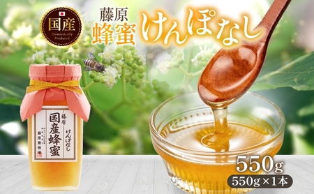 藤原国産蜂蜜 けんぽなし 550g はちみつ ケンポナシ 玄圃梨 国産 単花蜜 朝しぼり 完熟 ハチミツ パン 菓子 トースト ホットケーキ ヨーグルト 調味料 隠し味 お取り寄せ ポリ容器 常温 常備 送料無料 藤原養蜂場 岩手県 盛岡市
