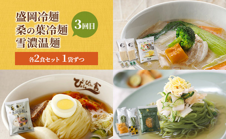 【 定期便 3回】麺類7種のMコース 麺 麺類 冷麺 温麺 じゃじゃ麺 冷蔵 ぴょんぴょん舎 岩手県 盛岡市