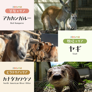 盛岡市動物公園ZOOMO入園チケット（大人5枚セット）