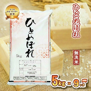 米 定期便 9ヶ月 ひとめぼれ 無洗米 5kg お米 精米 白米 こめ コメ おこめ ごはん お米マイスター 推奨 ブランド米 常温 国産 岩手県 岩手 盛岡市産 定期 お楽しみ 9回