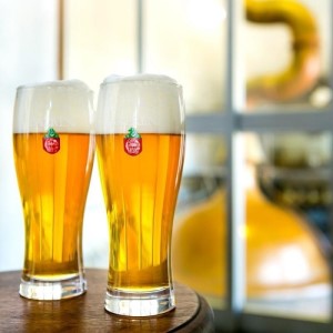 【2024年3月下旬から発送】クラフトビール 岩手 ベアレン ビール 飲み比べ 6本 セット ベアレン醸造所 限定 ベアレンビール 地ビール 黒ビール 詰め合わせ お酒 酒 アルコール 常温 岩手県