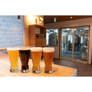 クラフトビール 12本 (4種類×3本) 飲み比べセット NANBU CRAFT BREWERY 南部クラフトブルワリー 発泡酒 セット 瓶 クラフト ビール 地ビール 岩手県 岩手 盛岡 