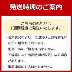 フライパン 南部鉄器 オムレツパン 木柄付 IH対応 キッチン用品 キッチン 日用品 調理器具 鉄分 鉄