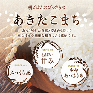 佐々木米穀店 米 五つ星お米マイスター推奨 あきたこまち 30kg 岩手 盛岡市産 お米 白米 精米 ご飯 ブランド米令和7年産 産地直送 送料無料 コメ こめ おこめ 令和7年 2025年 岩手県 盛岡 盛岡市