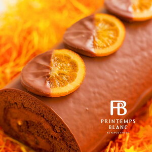 ショコランジュ1本＆ショコラキャンディロール1本セット お菓子 スイーツ 洋菓子 おやつ ティータイム ロールケーキ 食べ比べ 濃厚 ギフト 手土産 お土産 