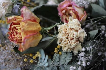 ドライフラワースワッグ ポンプレネル【田村フローリスト】 お花 ホワイトデー 母の日 敬老の日 壁飾り 店内 自宅 店舗 玄関 廊下 リビング インテリア ナチュラル 贈り物