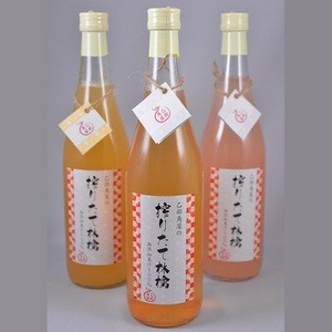 佐々木果樹園 乙部角屋 搾りたて 林檎ジュース 720ml 3本 盛岡りんご 飲料 果汁飲料 飲み物 アップルジュース 砂糖不使用 保存料不使用 100％ストレート果汁