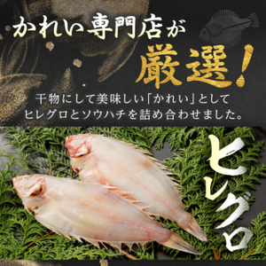 【かれい専門店】こだわりの干かれい充実セット_魚介・海産物  干物 _【配送不可地域：離島】【1002477】