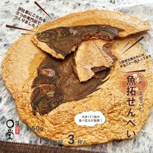 【かれい専門店】宮古で獲れた かれいまるごと魚拓せんべい　直径15cm超　3枚_菓子・スイーツ 煎餅・おかき  せんべい センベイ_【1391191】