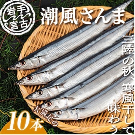 潮風さんま10本_魚介・海産物     魚介・海産物  干物 _【配送不可地域：離島】【1462758】