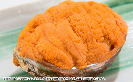 【無添加】宮古焼きうに 80g×2個セット_魚介・海産物 うに ウニ 雲丹_【配送不可地域:離島】【1376509】