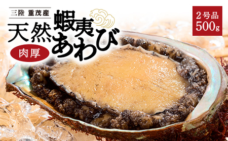 【三陸重茂産】天然　蝦夷あわび(2号品)500g(冷凍)_魚介・海産物 鮑（アワビ） 貝 あわび_【配送不可地域：離島】【1519984】