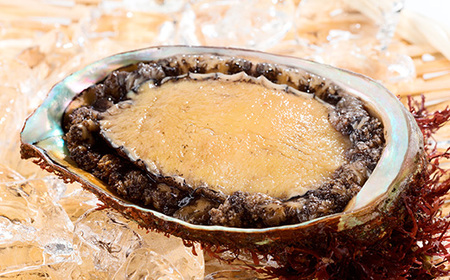 【三陸重茂産】天然　蝦夷あわび(2号品)500g(冷凍)_魚介・海産物 鮑（アワビ） 貝 あわび_【配送不可地域：離島】【1519984】