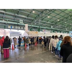 王子のぜいたく至福のタラフライ 300g(5枚)×3パック_魚介・海産物 _【配送不可地域:離島】【1584924】