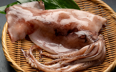 イカ一夜干し3枚入×3p【配送不可地域：離島】【1610235】