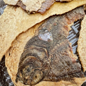 魚好き のんべぇに送る「カレイのお摘みセット」乾物 せんべい MM0259【1613742】