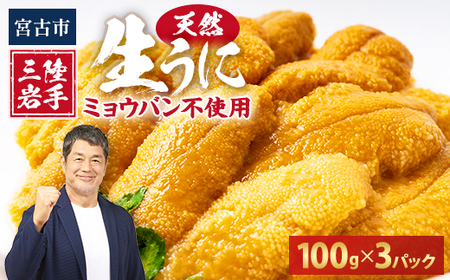【2026年4月下旬以降順次発送】天然生うに100g×3パック岩手県産　ミョウバン不使用_生うに100g×3パック うにうにうにうにうに_【配送不可地域：離島・沖縄県・九州】【1625398】
